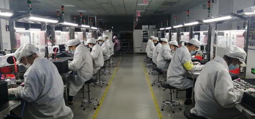 三次逆周期投資 弘信電子董事長李強 不做披著高科技光環的代工廠