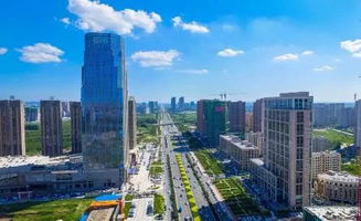 千余家科技企業 扎堆兒 凈月的背后